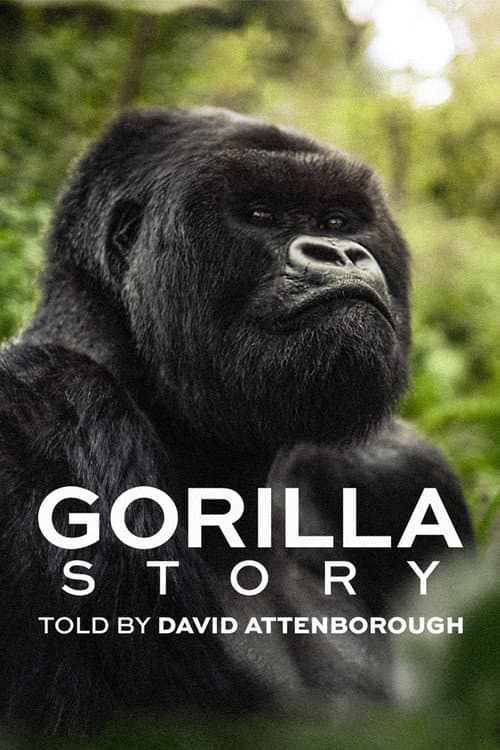 David Attenborough: Bir Goril Hikâyesi