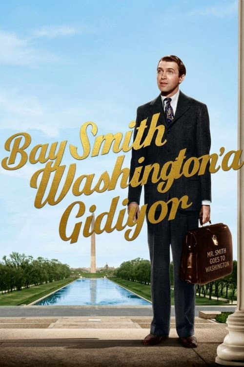 Bay Smith Washington'a Gidiyor