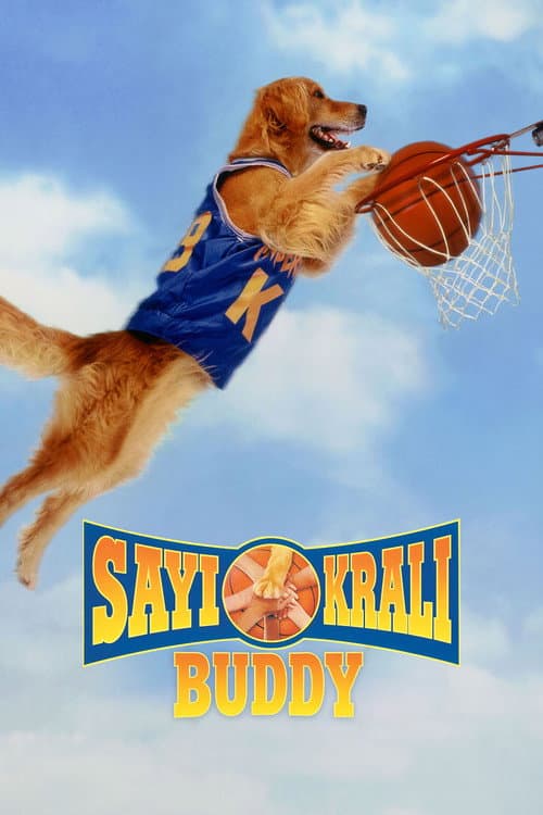 Sayı Kralı Buddy