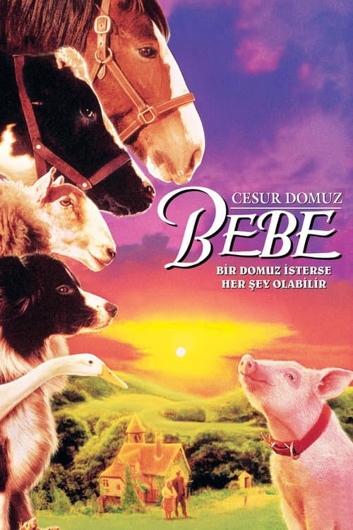Cesur Domuz Bebe