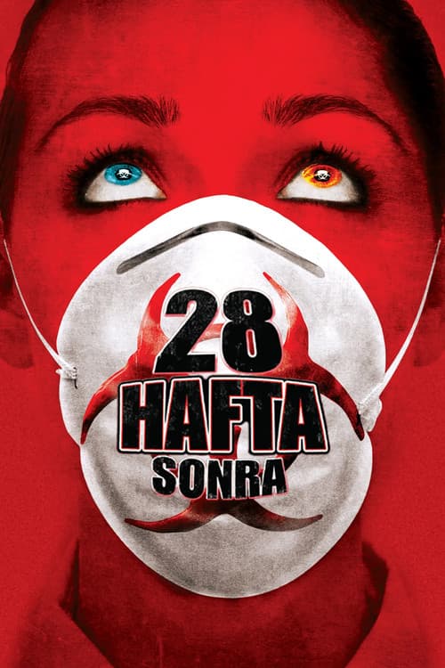 28 Hafta Sonra