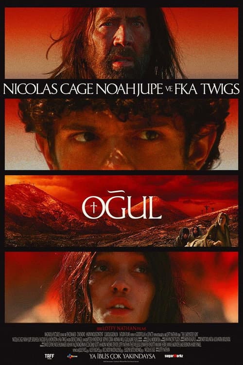 Oğul