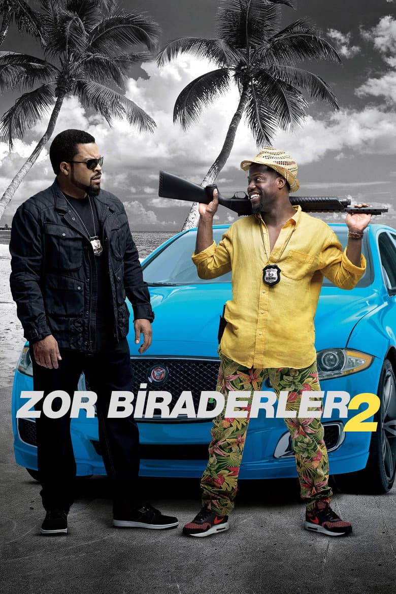 Zor Biraderler 2
